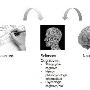 Neurosciences et architecture