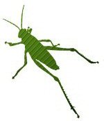 Installer Grasshopper