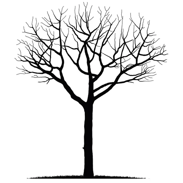 depositphotos_11217454-stock-illustration-bare-tree