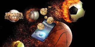 Experience premium betting action with Vivi’s exciting platform 11 Experience premium betting action with Vivi’s exciting platform 11