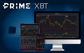 Understanding the Growth of PrimeXBT Users in the Cryptocurrency Trading Space Understanding the Growth of PrimeXBT Users in the Cryptocurrency Trading Space